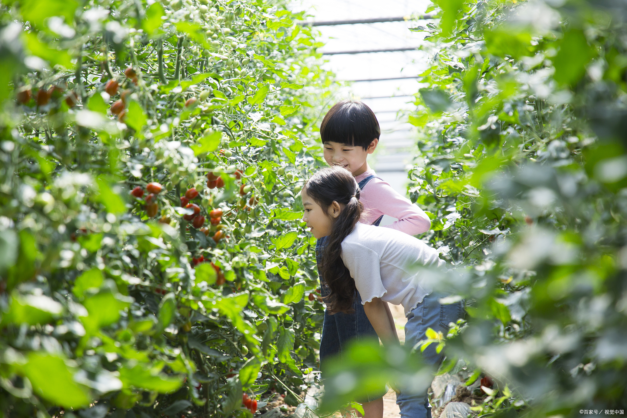 米兰体育中国官网-秋季乡村登山节，呼吸新鲜空气迎接丰收季的简单介绍