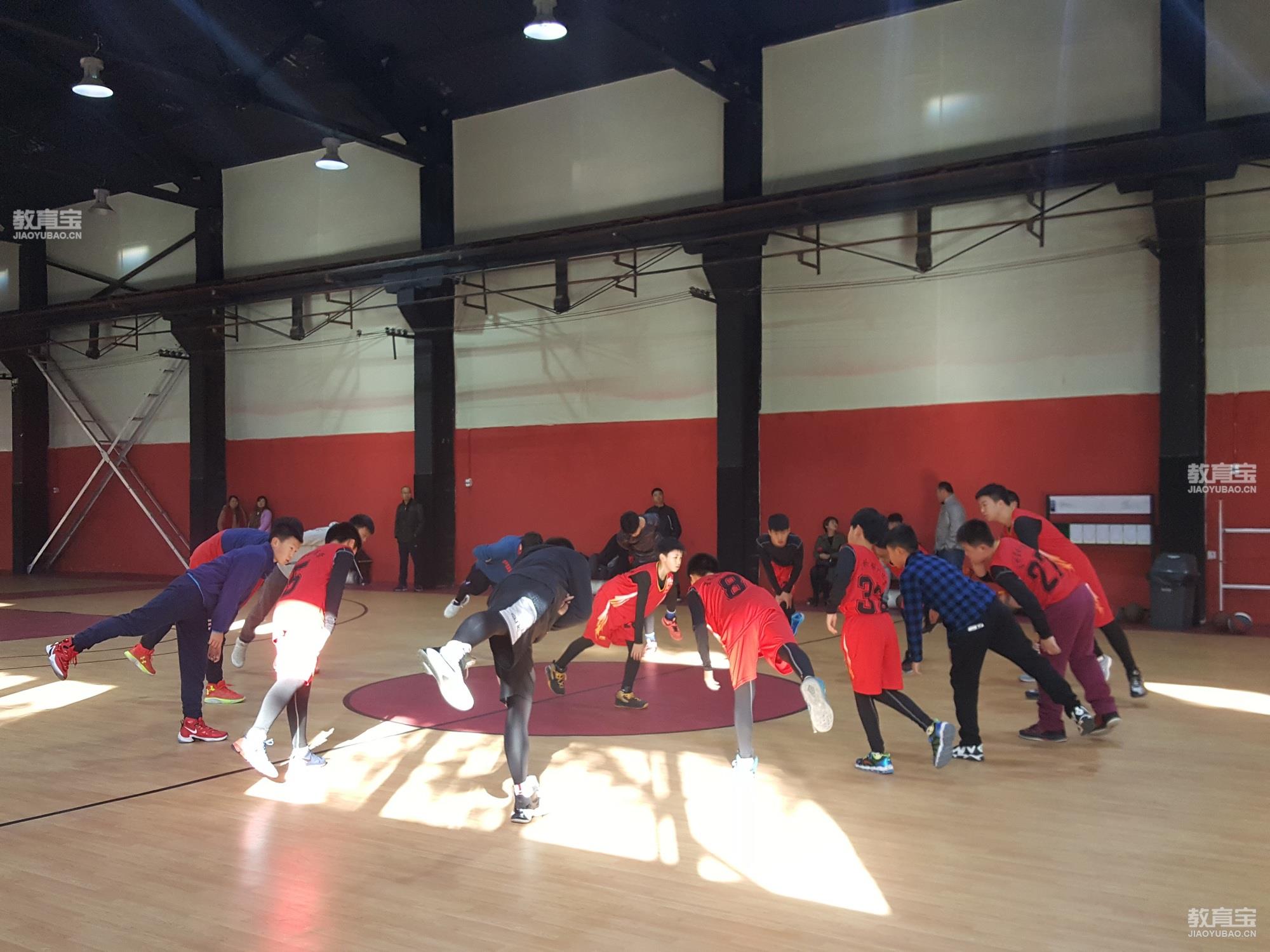 关于篮球赛事志愿者服务体系全面优化，提升赛场形象的信息