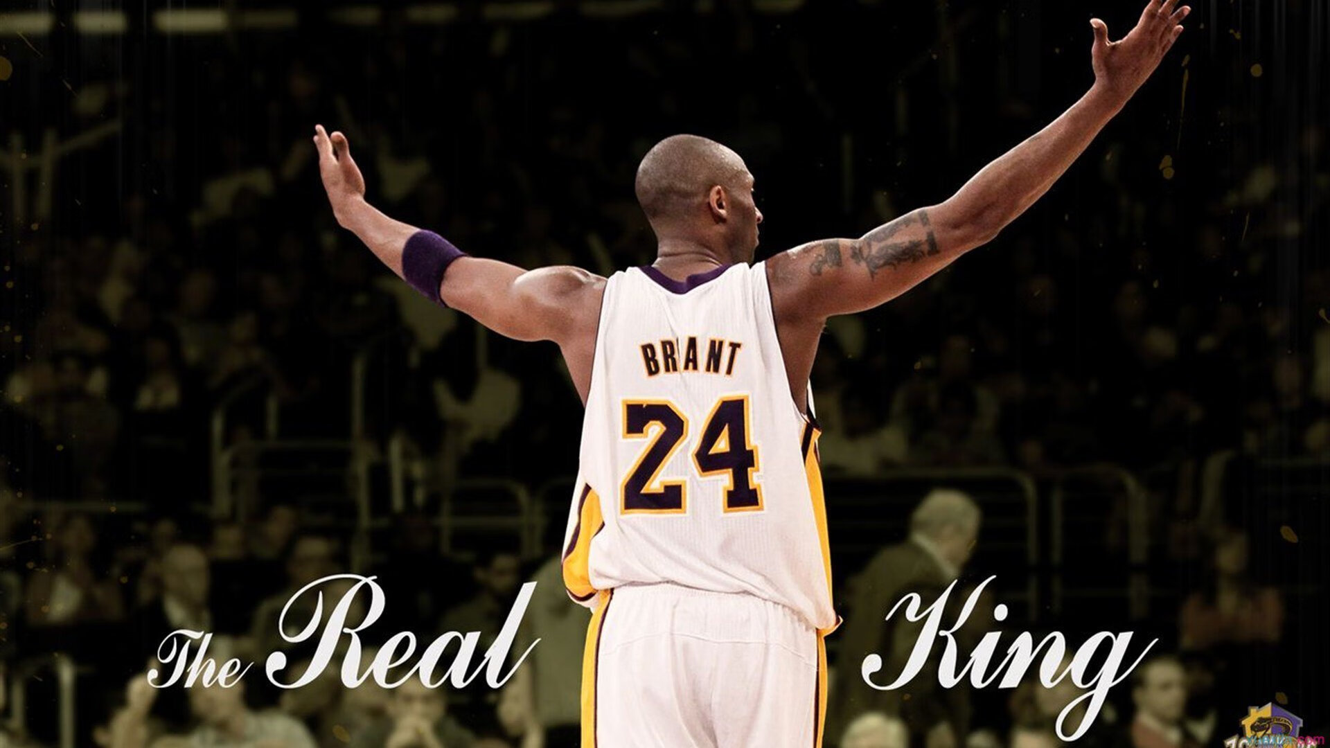 灰熊队主帅:球队需要加强进攻端表现,灰熊队的主场