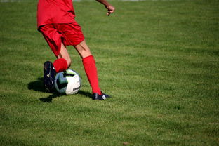 米兰体育官方入口-篮球运动员心理韧性培养及心理干预体系，篮球运动员的心理训练